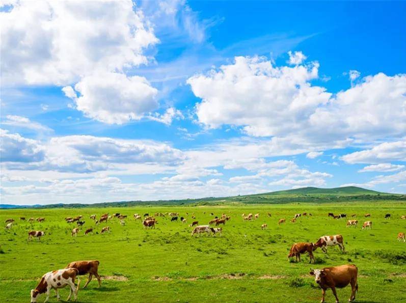 内蒙古，自然画卷与民族摇篮的交融之地